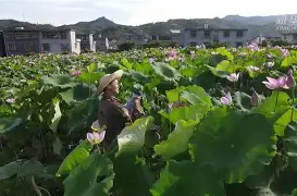 槝盺供#9kaw墍XB娄碗铺? -友博网页版